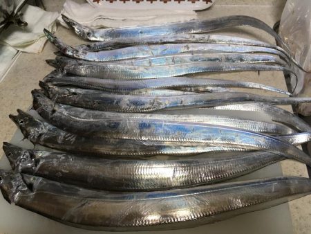 タチウオは好調